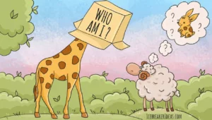 ROTARY – Our favorite programs