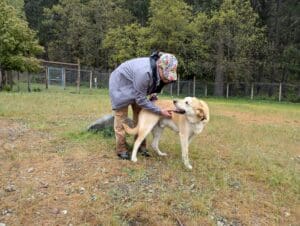 ️ Rotary Gets Muddy for a Mission at Sanctuary One!